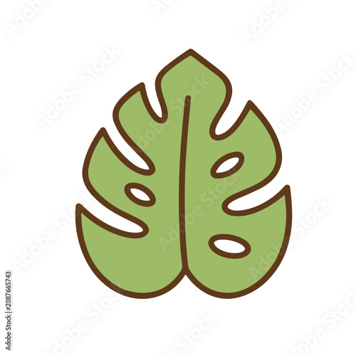 Green monstera leaf illustration