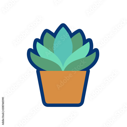 Succulent plant in a pot