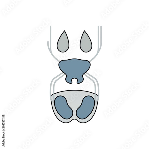 Simplified anatomical diagram of the male reproductive system showing prostate, vesicles, vas deferens, and testes in a minimalist medical educational style