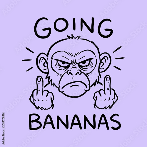 Fotografie Monkey Giving Two Middle Fingers.