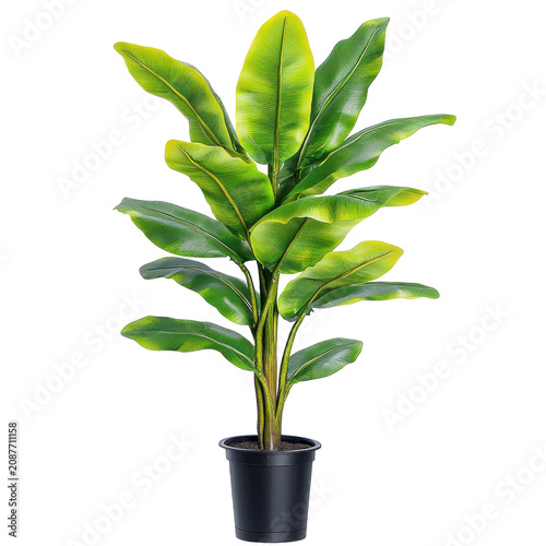 Lush artificial banana plant in black pot detailed green leaves isolated on white background