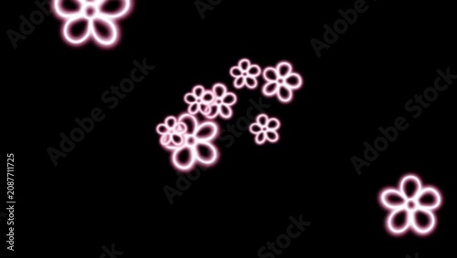Pink Flower Petals Dancing on Black Background 4K 60fps video overlay