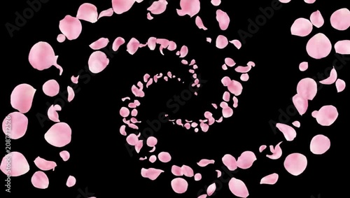 Spiraling Pink Petal Swirl on Black Background 4K 60fps video overlay