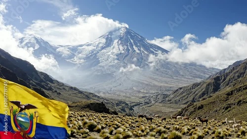 Ecuadorian flag waving in front of chimborazo volcano with andean people and llamas in the altitude paramo landscape