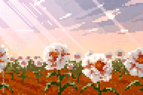 Pixel art peony field rows of blush pink and cream peonies in full bloom soft green stems and leaves gentle breeze motion pastel sky background