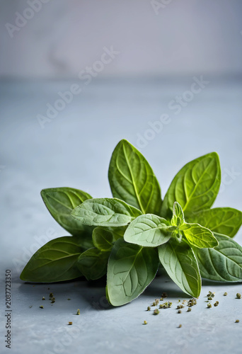 Fresh oregano leaves on gra...