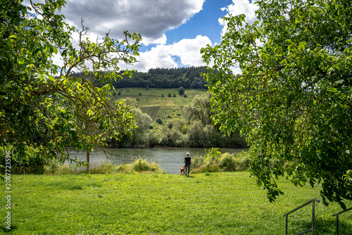 Das Licht tanzte über den Hang, während die Wolken ihre Schatten langsam über die Reben schoben. Die Mosel wirkte wie ein Spiegel, der Himmel und Landschaft zu einem einzigen Gemälde verschmelzen ließ
