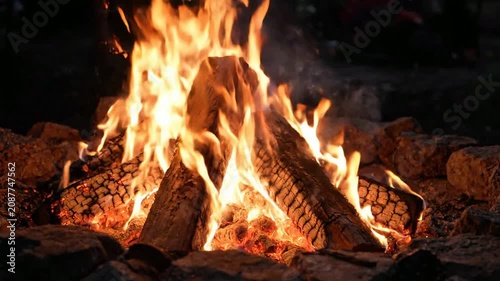 Warm Cozy Campfire Flames Burning Brightly in Night Scene.