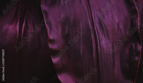 abstract tropical leaf textures on dark tone, natural green background.