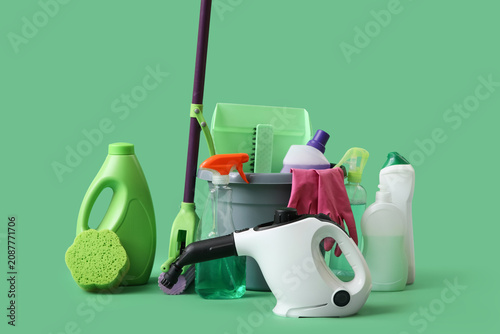 Modern steam cleaner with s...