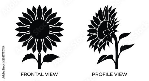 Tableau sur toile Two sunflower silhouettes showing frontal and profile views against a white back