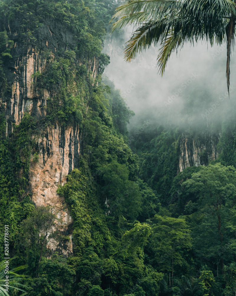 Fototapeta premium Dirt trail leading towards dramatic limestone karst mountains hidden in thick tropical mist.