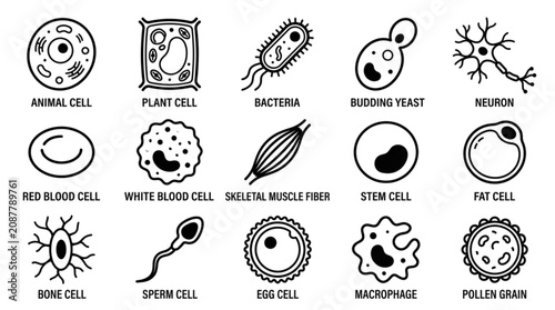 Fotografie Biological Cell Vector Icon Set Featuring Animal Plant Bacteria Yeast Neuron Red