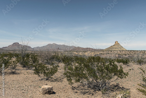 Принти на полотні Desert scrubland with ocotillo and mountains vista
