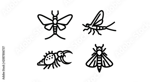 Foto Various winged insect silhouettes in black and white.