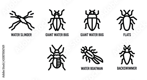 фотографія Water insect silhouettes including water strider and water boatman