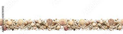 Exotic Seashells and Pearls Border for Beach Holiday Design