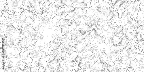 Topographic map illustration with wavy lines and contours on white background