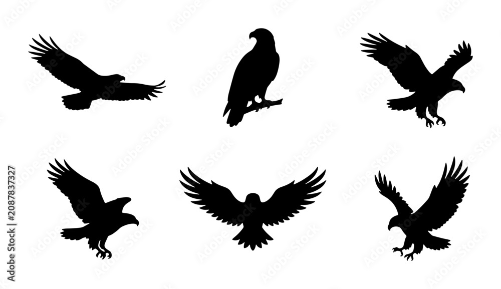 Fototapeta premium Eagle Silhouettes, Bird Icons, Wildlife Vector Set, Majestic Raptor Poses, Graphic Elements