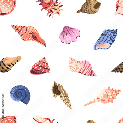 Cuadro en lienzo Repeatable pattern of different tropical seashells