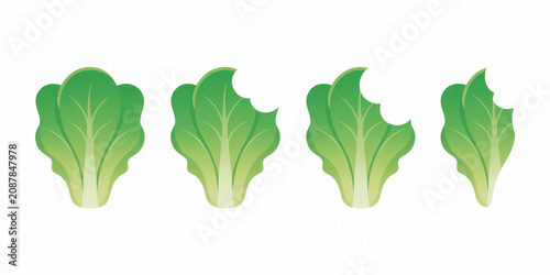 Progression of fresh green lettuce leaves being eaten, from whole to partially consumed