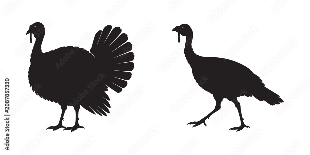 Fototapeta premium Turkey silhouette, Turkey cock bird poultry animal black silhouette, turkey bird icon vector