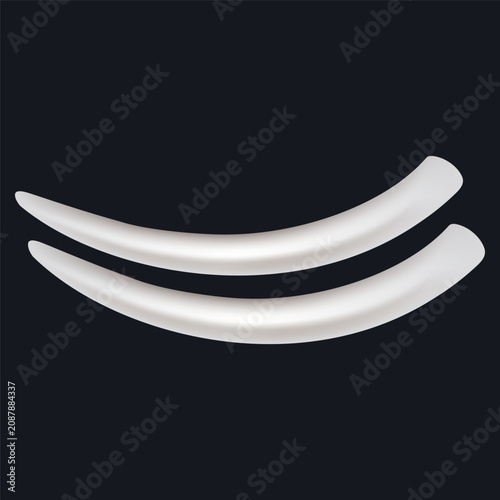 Ivory Vector black Background Stock Vector