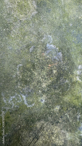 Weathered concrete surface with green moss and mineral stains