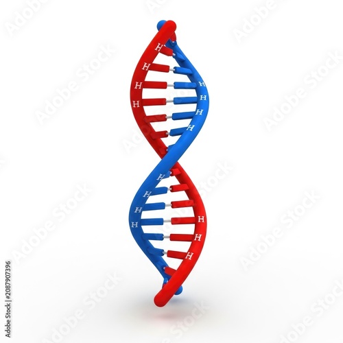 Stylized dna double helix in red and blue isolated on white background