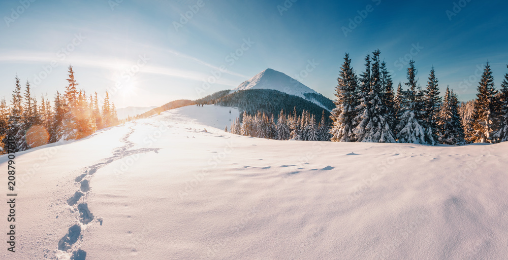Obraz premium Breathtaking snow-covered mountain landscape with icy peak shining in the sun at dawn. Carpathians, Ukraine, Europe.