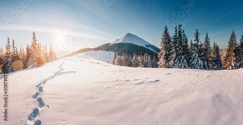 Breathtaking snow-covered mountain landscape with icy peak shining in the sun at dawn. Carpathians, Ukraine, Europe.