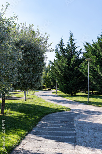 Summer park with walking path