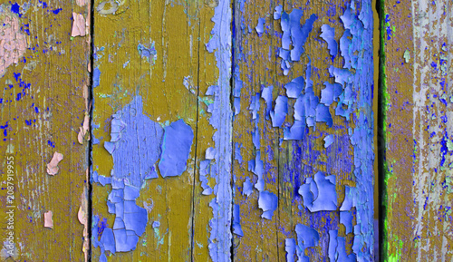 Textured wooden background, rustic texture of peeling blue and yellow oil paint on vertical wooden planks