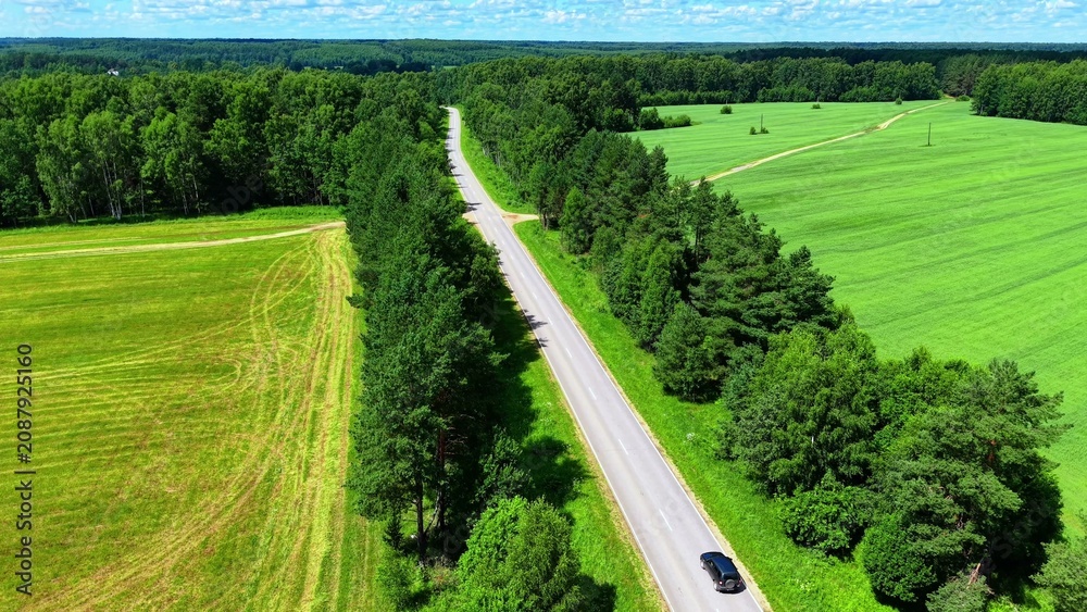Naklejka premium Paved road dividing vibrant green fields and dense forest landscape under a clear blue sky