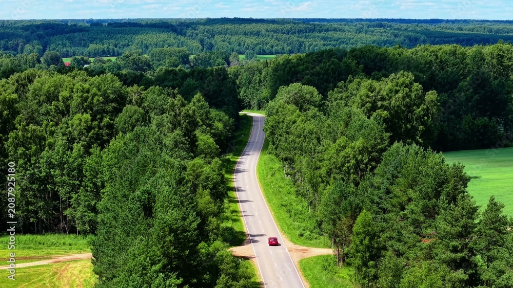 Naklejka premium Curving asphalt road lined with dense green trees under a clear blue sky in summer
