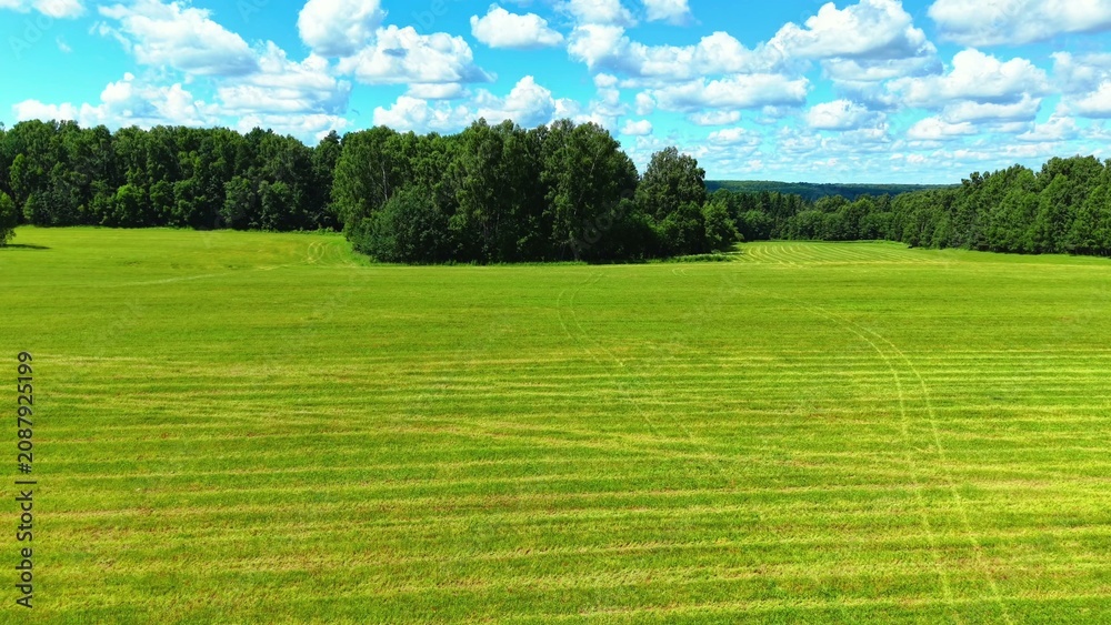 Fototapeta premium Green grass fields bordered by dense trees under a bright blue sky with scattered fluffy clouds