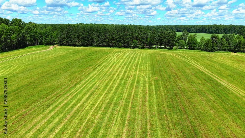 Naklejka premium Green grass field with evenly mowed patterns under a clear blue sky and scattered clouds