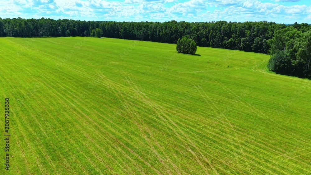 Fototapeta premium Lush green field with patterns of freshly mowed grass under bright blue sky