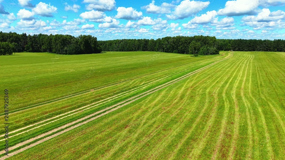 Naklejka premium Green striped grass fields with clear blue sky and fluffy white clouds during summer season