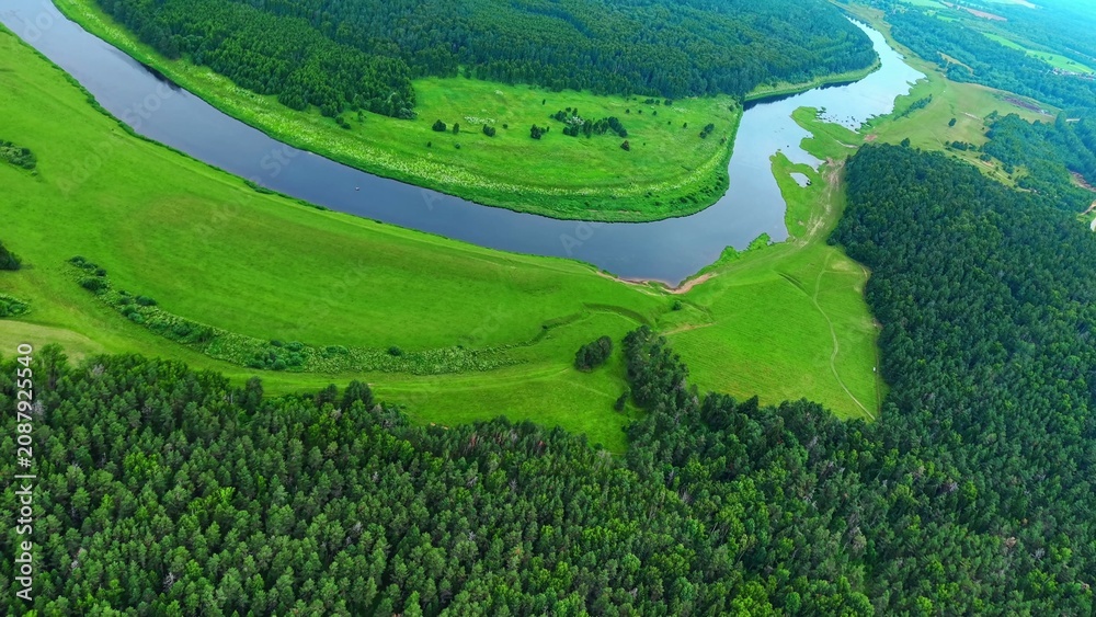 Fototapeta premium Green forest and riverbank with vibrant grass near flowing river under clear blue sky