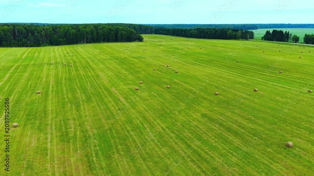 Fototapeta premium Green pasture with hay bales scattered evenly under clear blue skies in rural landscape