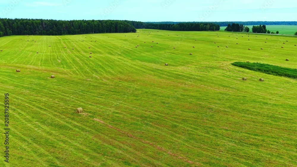 Fototapeta premium Freshly cut green grass field dotted with round hay bales under a clear blue sky