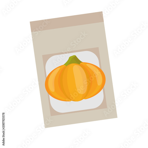 Картината върху платно Paper seed packet for planting orange pumpkin isolated on white background