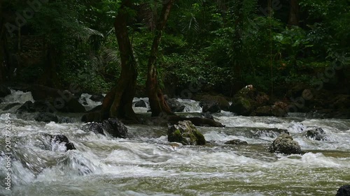 Powerful water current flowing rapidly through rocky rapids in a dense tropical rainforest. Beautiful nature scene of a wild river with lush green trees and rocks.