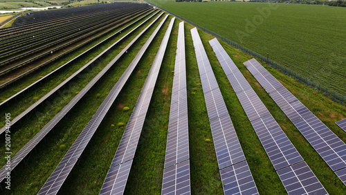 Fotografie Solar panels line a green field, converting sunlight into renewable energy