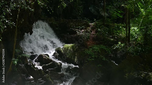 Beautiful waterfall flowing from a cave in a lush green tropical forest, vertical video. Tao Thong Waterfall, Phang Nga Province, Thailand.
