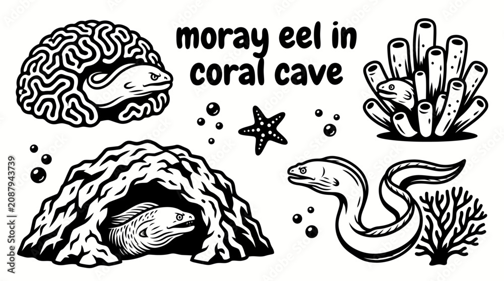 Fototapeta premium moray eel emerging set from a rocky coral cave surrounded by reef fish marine algae corals and textured seabed creating a mysterious underwater habitat for commercial vector illustration