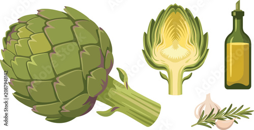 Foto Fresh green globe artichoke vector illustration set with half cut artichoke core