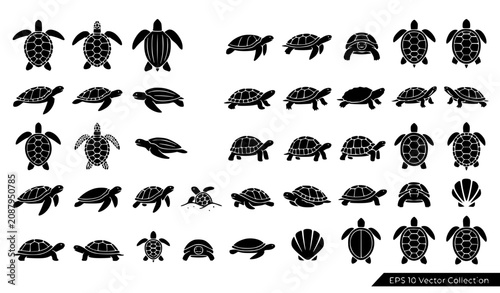 Turtle Silhouette Icons Vector Collection EPS10
