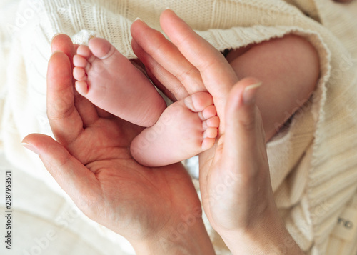 Baby feet in hands copy space top view